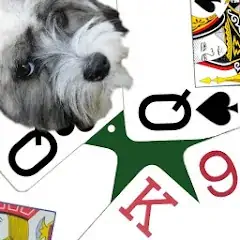 Скачать K9 Sheepshead (Schafkopf) [Взлом Бесконечные деньги] APK на Андроид