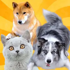 Скачать Real Pets by Fruwee [Взлом Бесконечные деньги] APK на Андроид