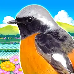 Скачать 鳥パラダイス [Взлом Много монет] APK на Андроид