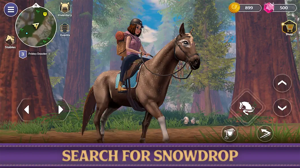 Скачать Star Equestrian - Horse Ranch [Взлом Много монет] APK на Андроид