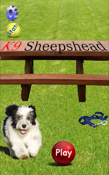 Скачать K9 Sheepshead (Schafkopf) [Взлом Бесконечные деньги] APK на Андроид