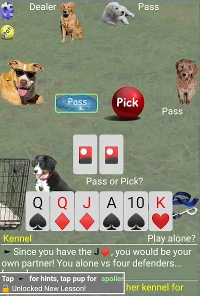 Скачать K9 Sheepshead (Schafkopf) [Взлом Бесконечные деньги] APK на Андроид