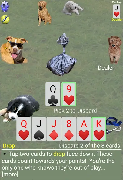 Скачать K9 Sheepshead (Schafkopf) [Взлом Бесконечные деньги] APK на Андроид