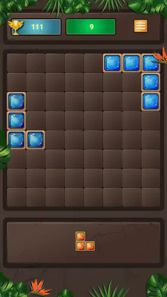 Скачать Block Puzzle [Взлом Много монет] APK на Андроид