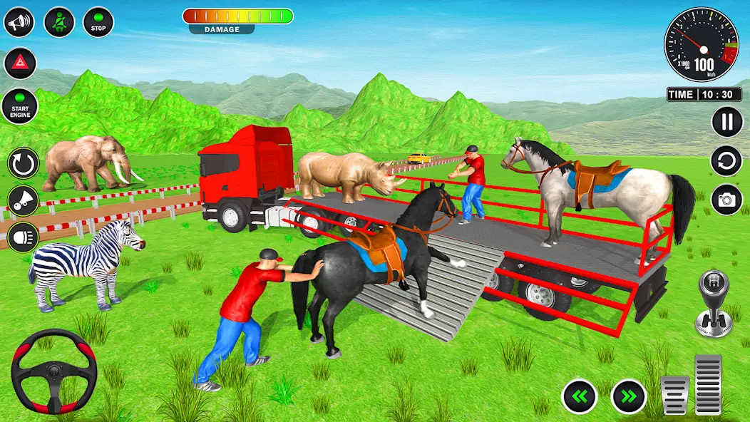 Скачать Animals Transport Truck Game [Взлом Много монет] APK на Андроид