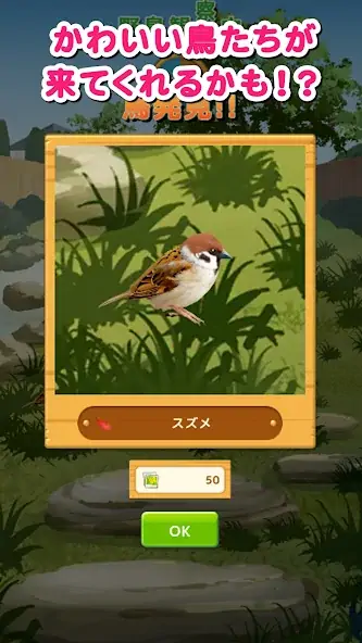 Скачать 鳥パラダイス [Взлом Много монет] APK на Андроид