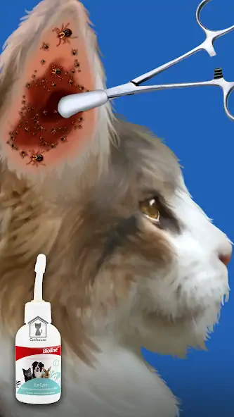 Скачать Cat Salon: Makeover ASMR [Взлом Бесконечные деньги] APK на Андроид