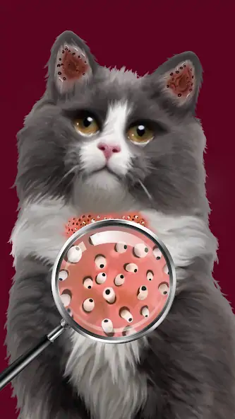 Скачать Cat Salon: Makeover ASMR [Взлом Бесконечные деньги] APK на Андроид