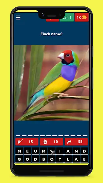 Скачать Bird Guess Fun Feather Trivia [Взлом Много монет] APK на Андроид