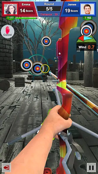 Скачать Archery Games: Bow and Arrow [Взлом Много монет] APK на Андроид