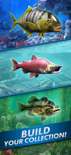 Скачать Ultimate Fishing! Fish Game [Взлом Много денег] APK на Андроид