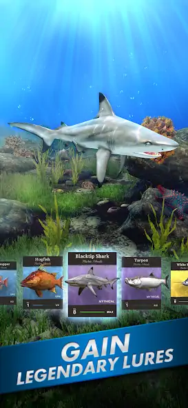 Скачать Ultimate Fishing! Fish Game [Взлом Много денег] APK на Андроид