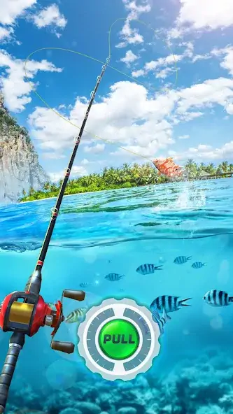 Скачать Fishing Rival 3D [Взлом Бесконечные деньги] APK на Андроид