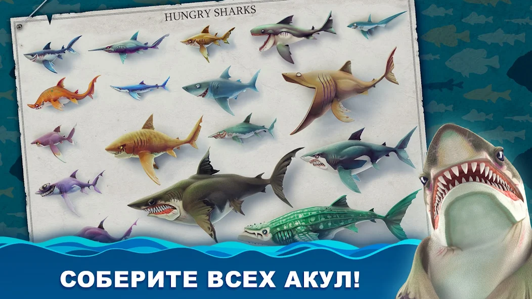 Скачать Hungry Shark World [Взлом Бесконечные деньги] APK на Андроид