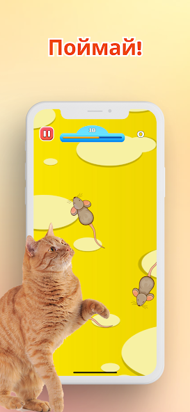 Скачать Игра для котов - Мышки и Рыбки [Взлом Бесконечные монеты] APK на Андроид