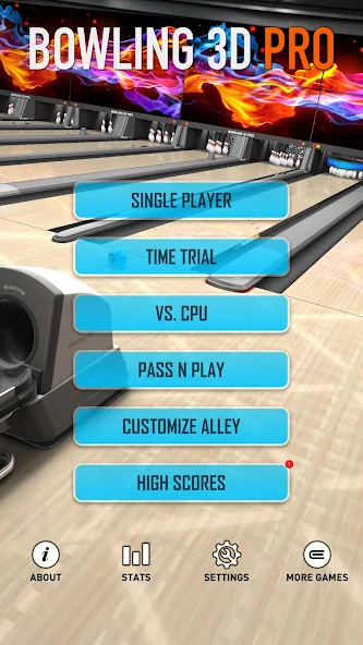 Скачать Bowling 3D Pro [Взлом Бесконечные монеты] APK на Андроид