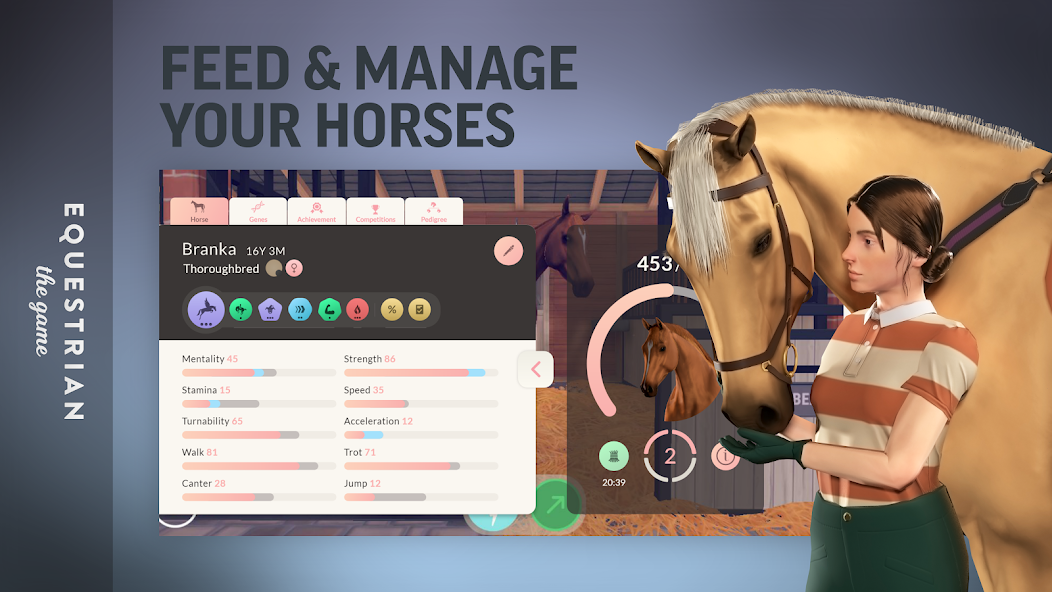 Скачать Equestrian the Game [Взлом Бесконечные деньги] APK на Андроид