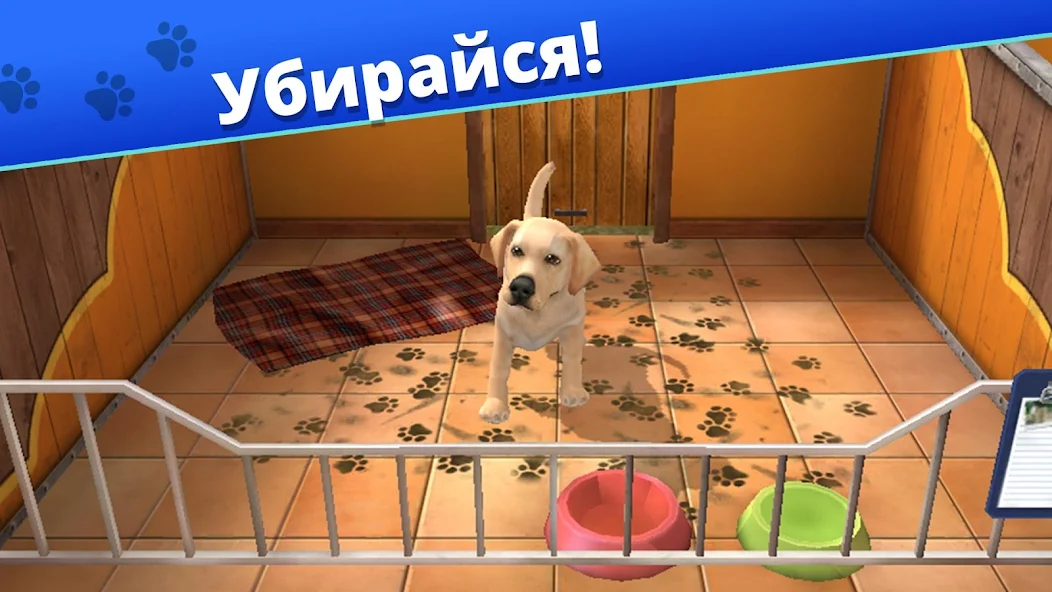 Скачать Pet World - приют для животных [Взлом Бесконечные монеты] APK на Андроид