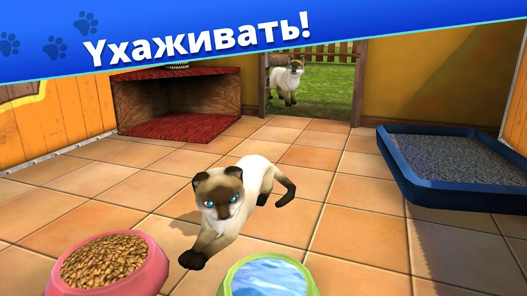 Скачать Pet World - приют для животных [Взлом Бесконечные монеты] APK на Андроид